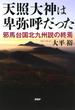 天照大神は卑弥呼だった