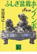 ふしぎ盆栽ホンノンボ(講談社文庫)