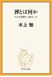 禅とは何か　それは達磨から始まった(中公文庫)