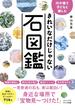 川や海で子どもと楽しむ きれいなだけじゃない石図鑑(ビジュアルだいわ文庫)