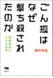 ごん狐はなぜ撃ち殺されたのか