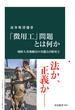 「徴用工」問題とは何か　朝鮮人労務動員の実態と日韓対立(中公新書)