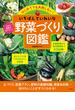 はじめてでも失敗しない！いちばんていねいな野菜づくり図鑑