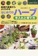 はじめてのハーブ手入れと育て方 基礎の基礎からよくわかる