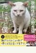 歌舞伎町の野良猫『たにゃ』と僕