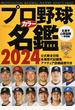 プロ野球カラー名鑑 ２０２４