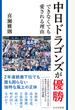 中日ドラゴンズが優勝できなくても愛される理由