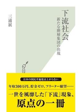 下流社会～新たな階層集団の出現～(光文社新書)