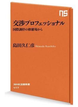 交渉プロフェッショナル　国際調停の修羅場から(ＮＨＫ出版新書)