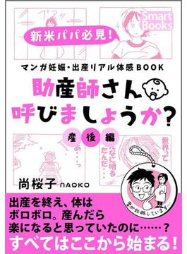 マンガ 妊娠・出産リアル体感BOOK 助産師さん呼びましょうか？ 5 産後編(スマートブックス)