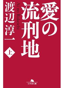 【全1-2セット】愛の流刑地(幻冬舎文庫)