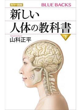 カラー図解　新しい人体の教科書　下(講談社ブルーバックス)