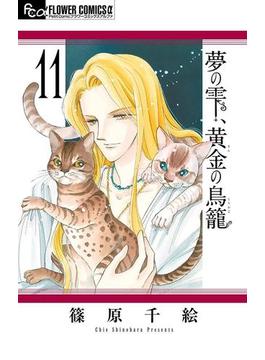 夢の雫、黄金の鳥籠　11(フラワーコミックスα)