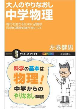 大人のやりなおし中学物理(サイエンス・アイ新書)