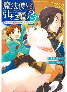 魔法使いで引きこもり？３　～モフモフと飛び立つ異世界の空～