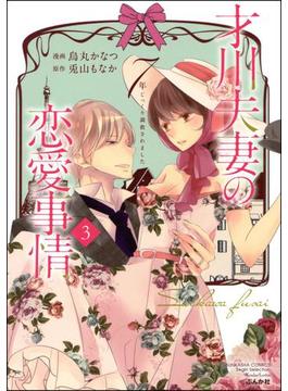 才川夫妻の恋愛事情 7年じっくり調教されました（3）【電子限定かきおろし小説付】