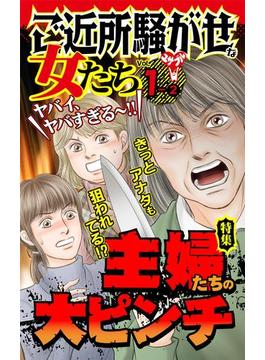 ご近所騒がせな女たちVol.１-(2)～特集／主婦たちの大ピンチ(スキャンダラス・レディース・シリーズ)