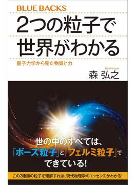 ２つの粒子で世界がわかる　量子力学から見た物質と力(講談社ブルーバックス)