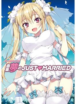 画集　夢のJUST▽MARRIED