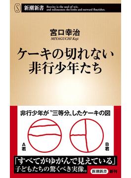 ケーキの切れない非行少年たち（新潮新書）(新潮新書)