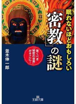 眠れないほどおもしろい「密教」の謎(王様文庫)