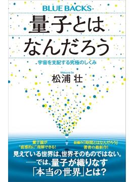 量子とはなんだろう　宇宙を支配する究極のしくみ(講談社ブルーバックス)