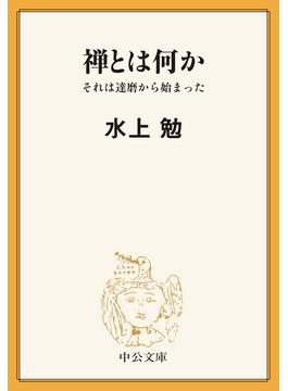 禅とは何か　それは達磨から始まった(中公文庫)