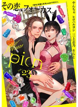 comic picn vol.23(picn comics)