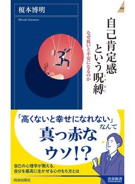 自己肯定感という呪縛(青春新書インテリジェンス)