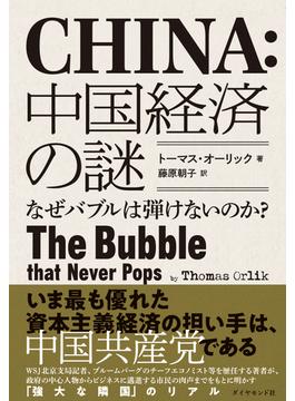 中国経済の謎―なぜバブルは弾けないのか？
