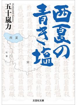 西夏の青き塩(文芸社文庫)