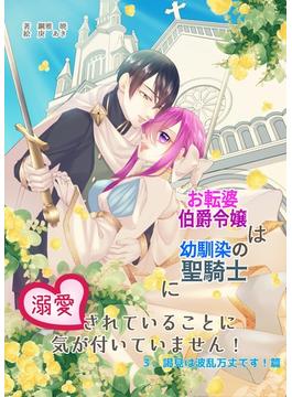 お転婆伯爵令嬢は幼馴染の聖騎士に溺愛されていることに気が付いていません！３、謁見は波乱万丈です！篇(アプリーレ文庫)