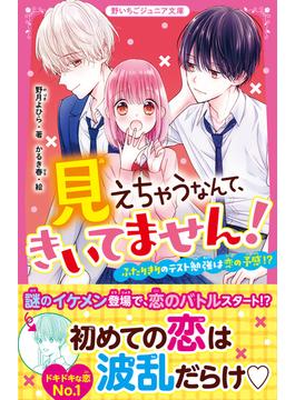 見えちゃうなんて、きいてません！　ふたりきりのテスト勉強は恋の予感!?(野いちごジュニア文庫)