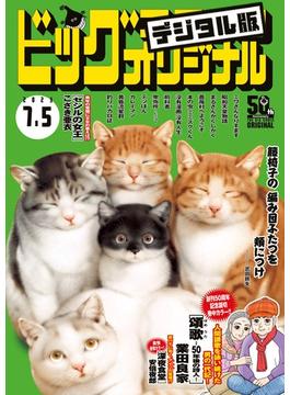 ビッグコミックオリジナル　2023年13号（2023年6月20日発売)