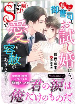 極上御曹司とお試し婚したら、隠れドSで愛にも容赦がありません！(ヴァニラ文庫)