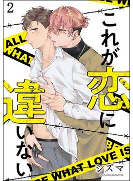 これが恋に違いない（分冊版） 【第2話】(amuse)