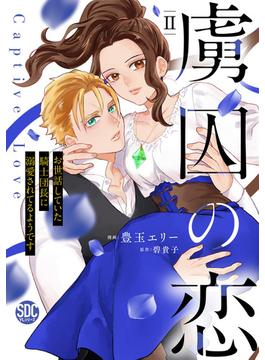 虜囚の恋～お世話していた騎士団長に溺愛されてるようです～【単行本版】II(素敵なロマンス)