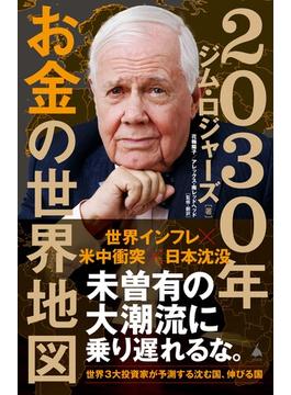 2030年 お金の世界地図(ソフトバンク新書)