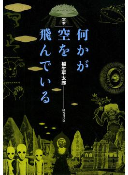 何かが空を飛んでいる