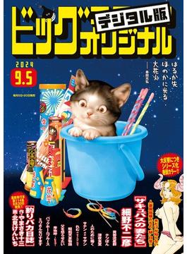 ビッグコミックオリジナル　2024年17号（2024年8月20日発売)