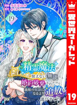 精霊魔法が使えない無能だと婚約破棄されたので、義妹の奴隷になるより追放を選びました 19(異世界マーガレット)