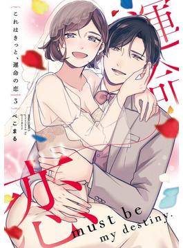 これはきっと、運命の恋 3 【電子限定おまけマンガ付き】(YLC)