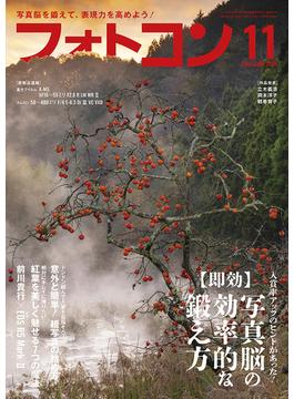 フォトコン2024年11月号