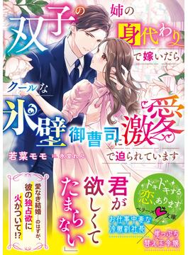 双子の姉の身代わりで嫁いだらクールな氷壁御曹司に激愛で迫られています【SS付き】(ベリーズ文庫)