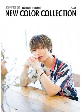 深町寿成 NEW COLOR COLLECTION No.21