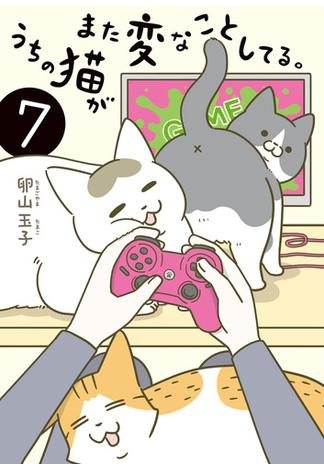 うちの猫がまた変なことしてる。７(コミックエッセイ)