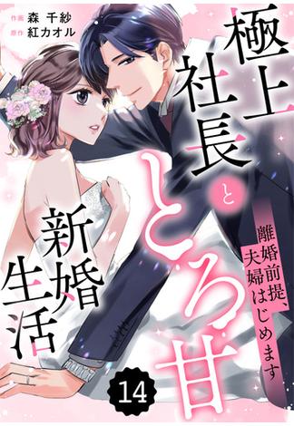 comic Berry's 離婚前提、夫婦はじめます～極上社長ととろ甘新婚生活～（分冊版）14話(Berry's COMICS)