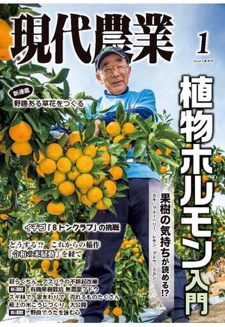 現代農業2025年1月号