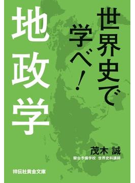 世界史で学べ！地政学