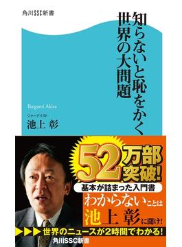 知らないと恥をかく世界の大問題(角川新書)